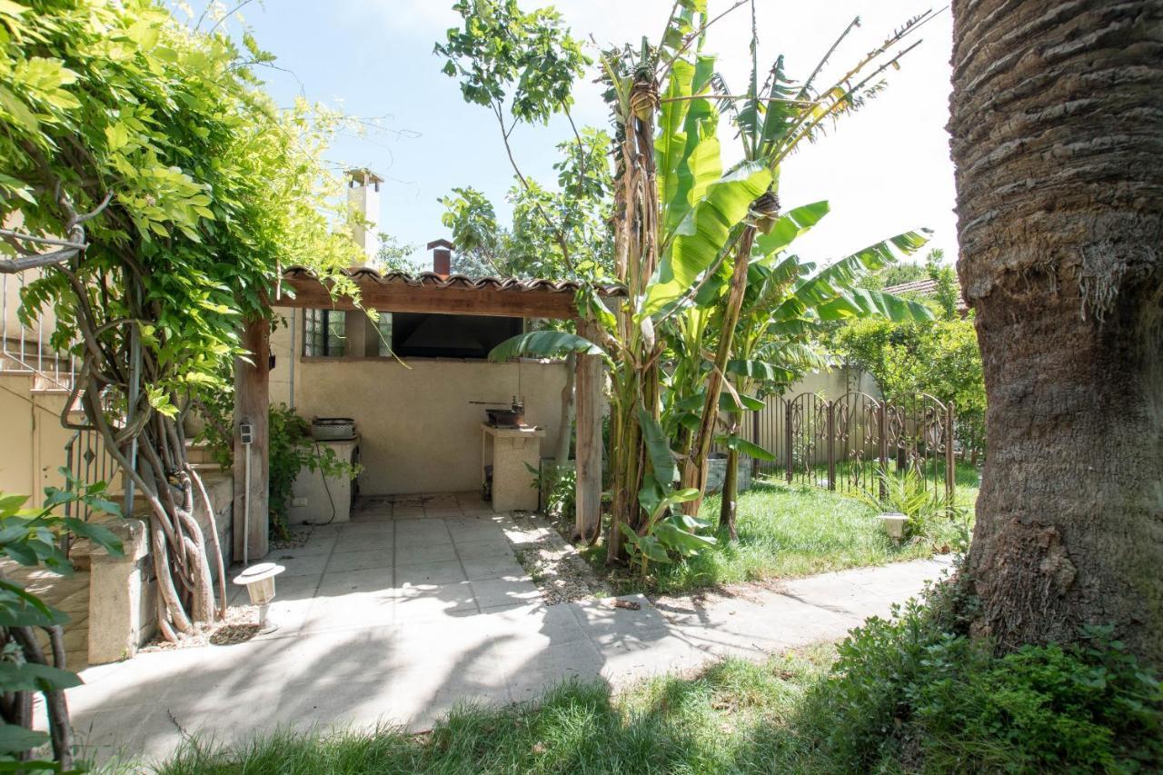 Palmeira, Piscine - Parking - Clim Arles Ngoại thất bức ảnh