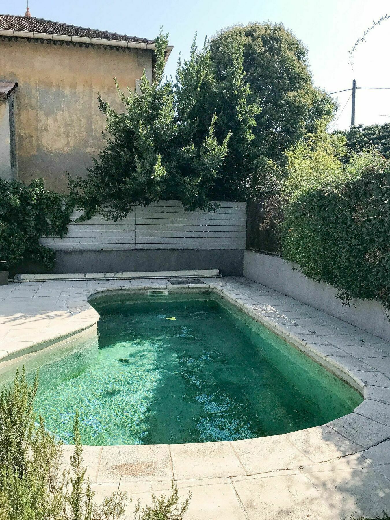 Palmeira, Piscine - Parking - Clim Arles Ngoại thất bức ảnh