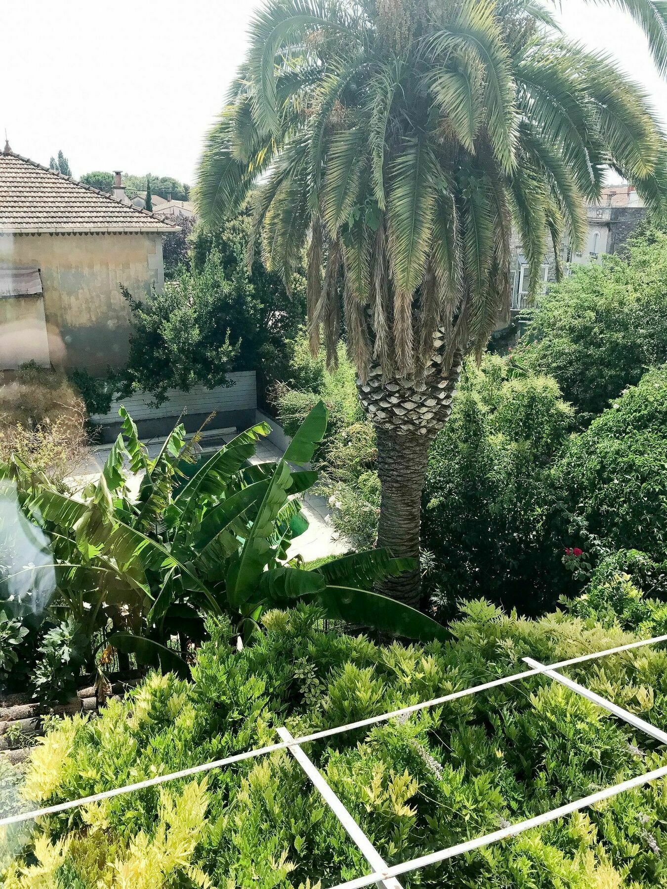 Palmeira, Piscine - Parking - Clim Arles Ngoại thất bức ảnh